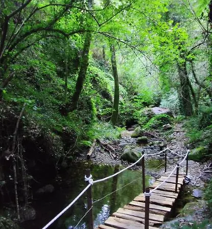 Carrozzino 팜스테이