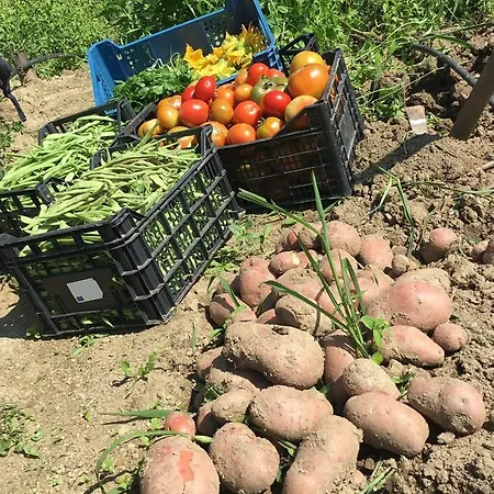 Séjour à la ferme Carrozzino Sersale