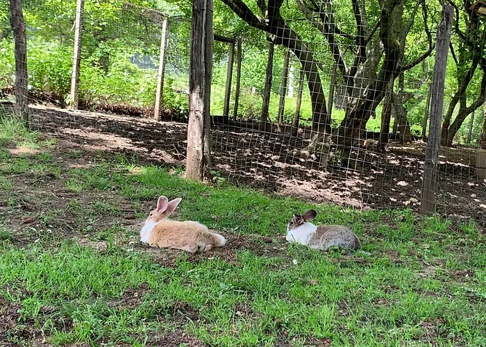 Carrozzino * Sersale