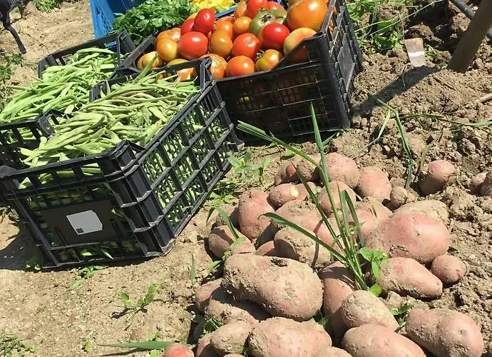 Alojamento de Turismo Rural Carrozzino Sersale